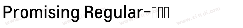 Promising Regular字体转换